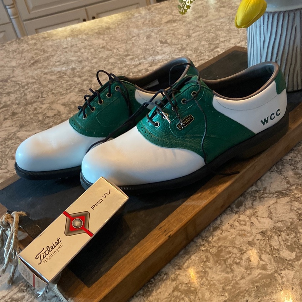 Never worn Footjoy/Dryjoy men’s golf shoes.  Size 10.